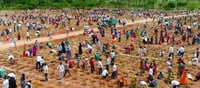1,12,47,630 saplings in a single year, world record Kaveri cry